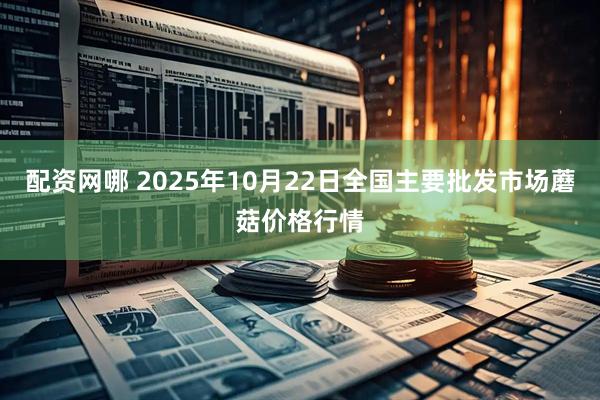 配资网哪 2025年10月22日全国主要批发市场蘑菇价格行情