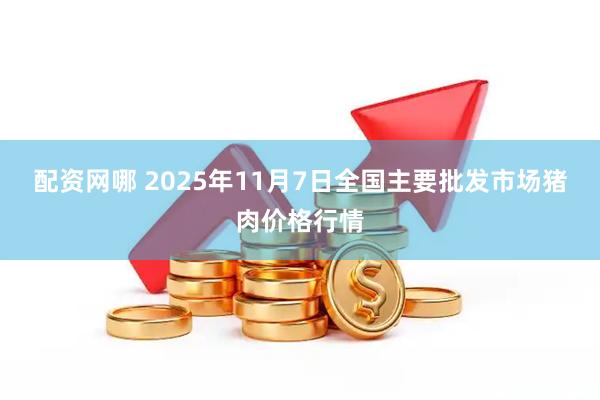 配资网哪 2025年11月7日全国主要批发市场猪肉价格行情