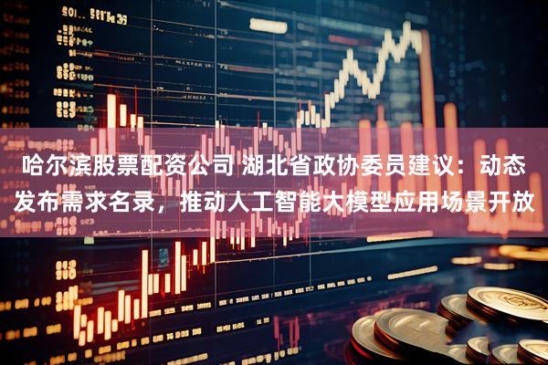 哈尔滨股票配资公司 湖北省政协委员建议：动态发布需求名录，推动人工智能大模型应用场景开放