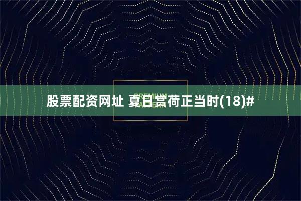 股票配资网址 夏日赏荷正当时(18)#