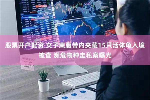 股票开户配资 女子束腹带内夹藏15只活体龟入境被查 濒危物种走私案曝光